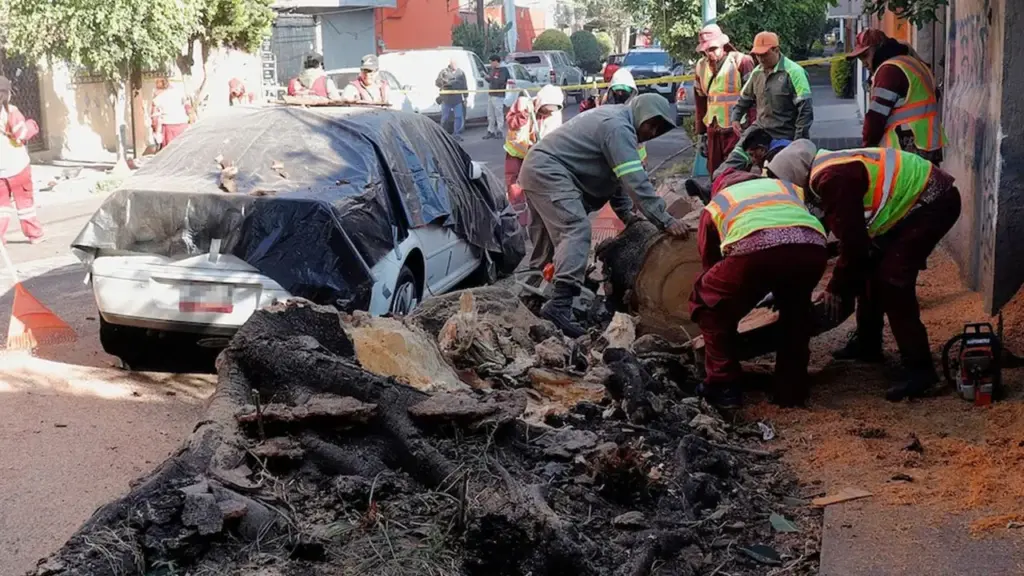 Meksika’da 6.5 Büyüklüğünde Deprem