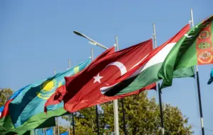 ABD’li kuruluştan Türk Devletleri Teşkilatı’na övgü