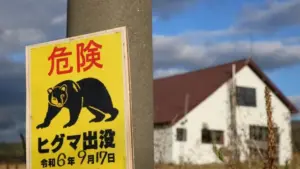 Japonya’da bir fabrikaya giren ayının “pencereyi açıp kaçtığı” düşünülüyor