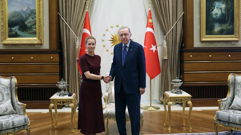 Cumhurbaşkanı Erdoğan AB Yüksek Temsilcisi Kallas’ı kabul etti
