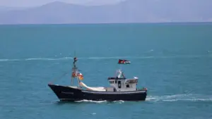 Küresel Sumud Filosu Gazze Yolunda