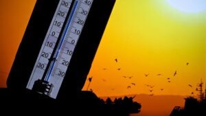 El Nino orman yangını riskini artırıyor