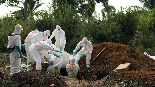 Afrika CDC’den Alarm: KDC’deki Ebola Salgını Tarihi Boyutlara Ulaşabilir