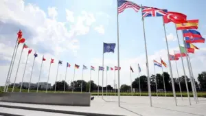 NATO: İttifak üyesi olup, AB üyesi olmayan müttefikler, ortak savunma açısından hayati önem taşıyor