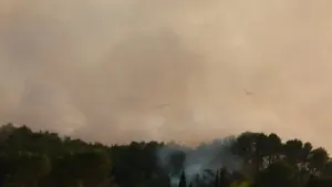 Fransa’nın Gironde vilayetinde yangın nedeniyle 13 bini aşkın şirket faaliyet gösteremiyor