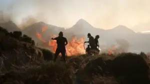 Yunanistan’ın Sakız Adası ve Eğriboz Adası’nda yangın