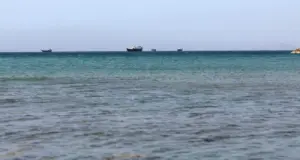 ABD: “Hürmüz Boğazı’nda 900 milyon varilden fazla ham petrol taşınmasını kolaylaştırdık”