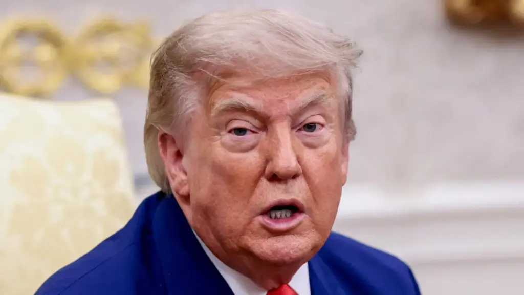 Trump, seçimlere hile karıştıranları ihbar edenlere 1 milyon dolar ödeneceğini duyurdu